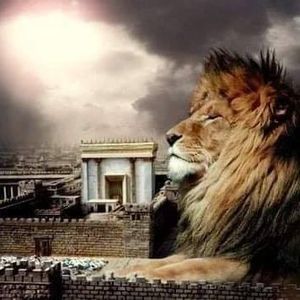 Meet your Posher, Williams